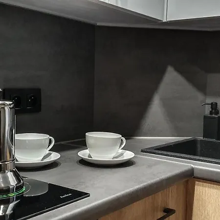 & Style Loft Zabrska Street דירה קטוביץ