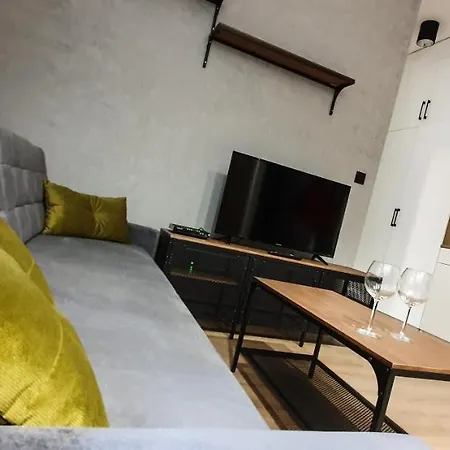 & Style Loft Zabrska Street 公寓 *