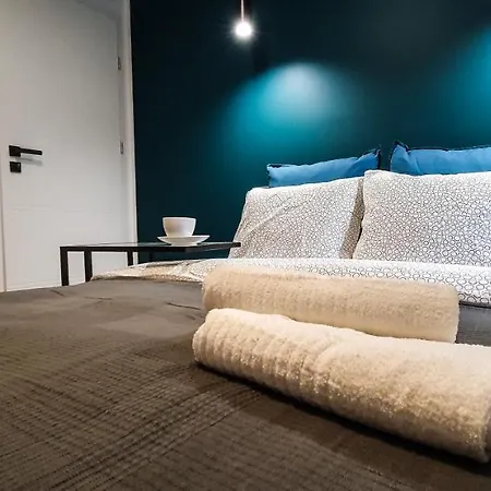 & Style Loft Zabrska Street * 卡托维兹