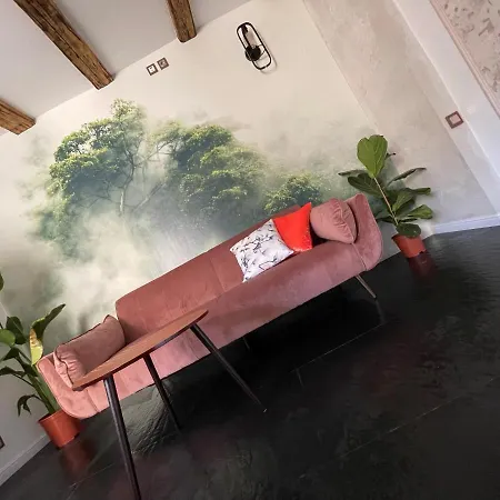 & Style Loft Zabrska Street * 卡托维兹