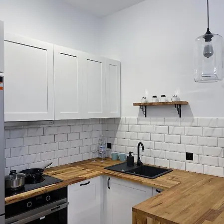 公寓 & Style Loft Zabrska Street