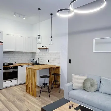 & Style Loft Zabrska Street דירה