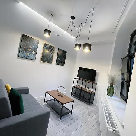 & Style Loft Zabrska Street 公寓 *