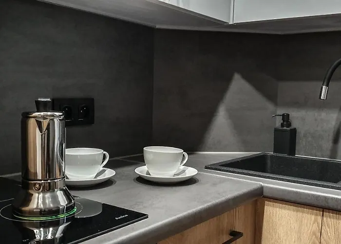 & Style Loft Zabrska Street Διαμέρισμα Κατοβίτσε